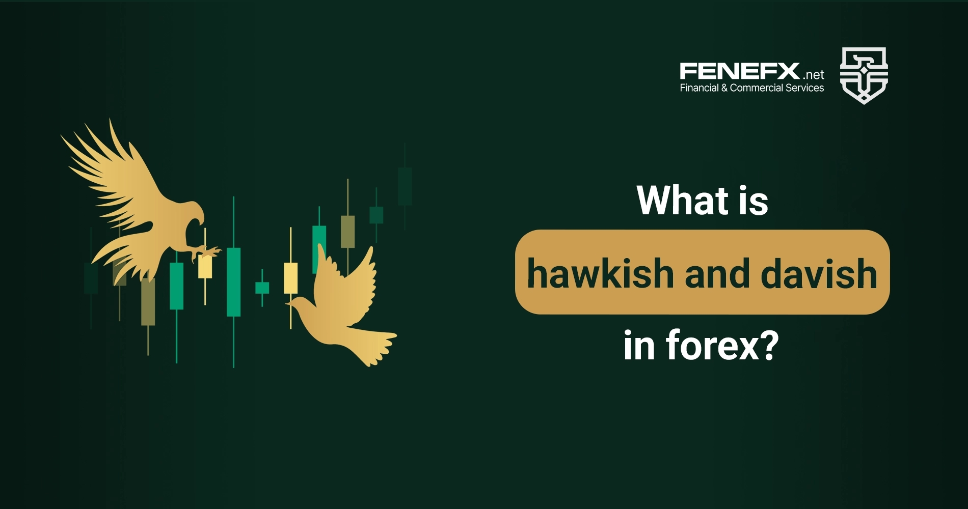 What is Hawkish and Dovish in forex?